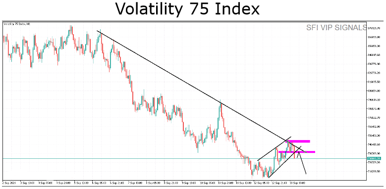 Volatility 75 Index